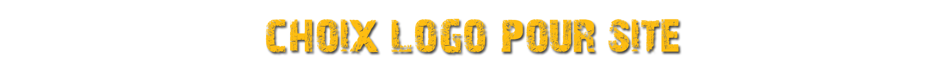 Choix Logo site
